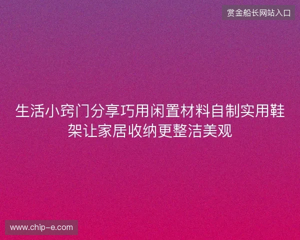 生活小窍门分享巧用闲置材料自制实用鞋架让家居收纳更整洁美观