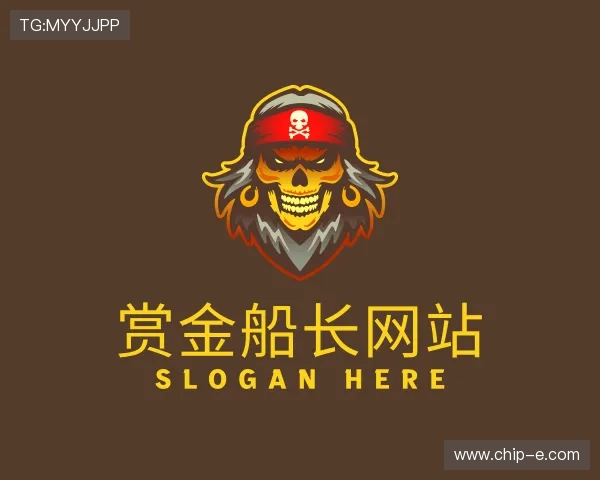 解读赏金船长网站入口